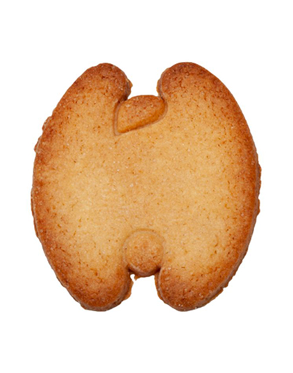 Eroscookie: cuando el diseño se convierte en bocado